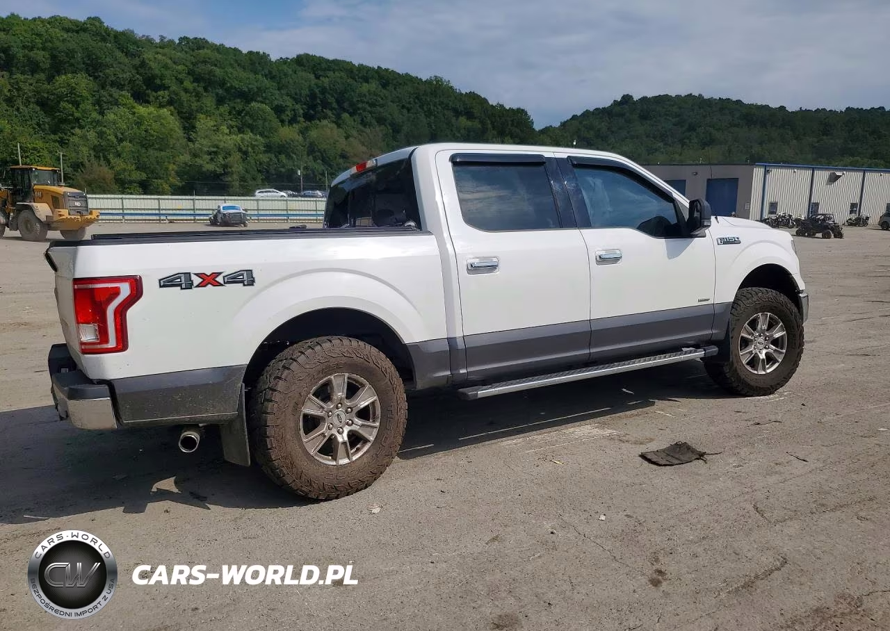 2016 Ford F150 Supercrew VIN:1FTEW1EG2GKF93181 - 3