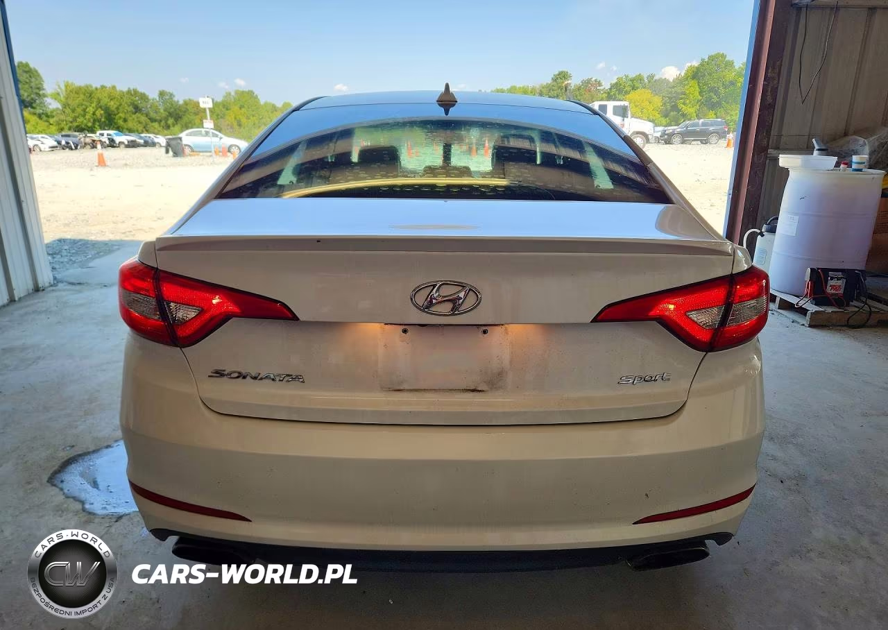 2017 Hyundai Sonata Sport VIN:5NPE34AF9HH509087 - 6