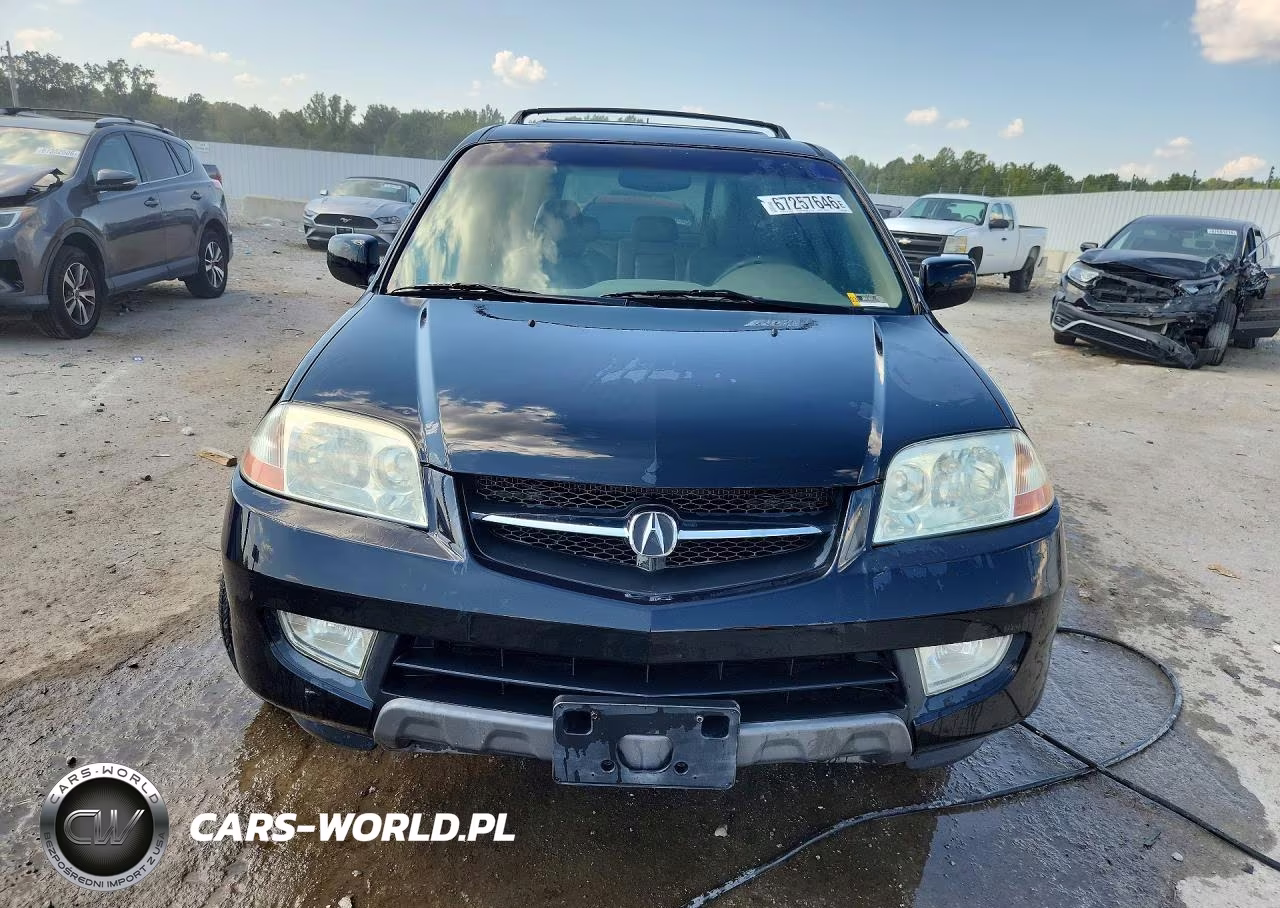 2003 Acura Mdx Touring VIN:2HNYD18723H513338 - 5