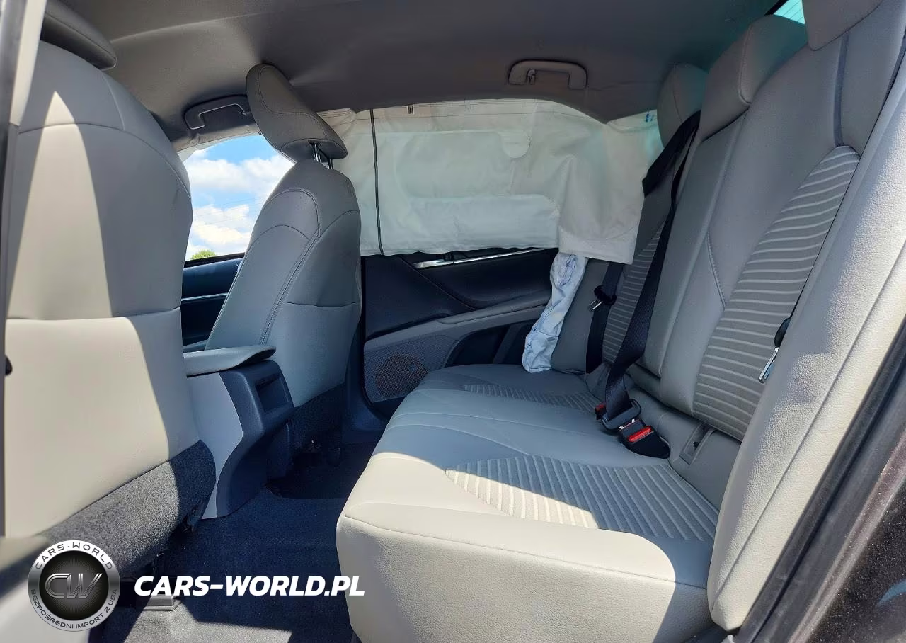 2019 Toyota Camry Se VIN:4T1B11HK4KU797359 - 10