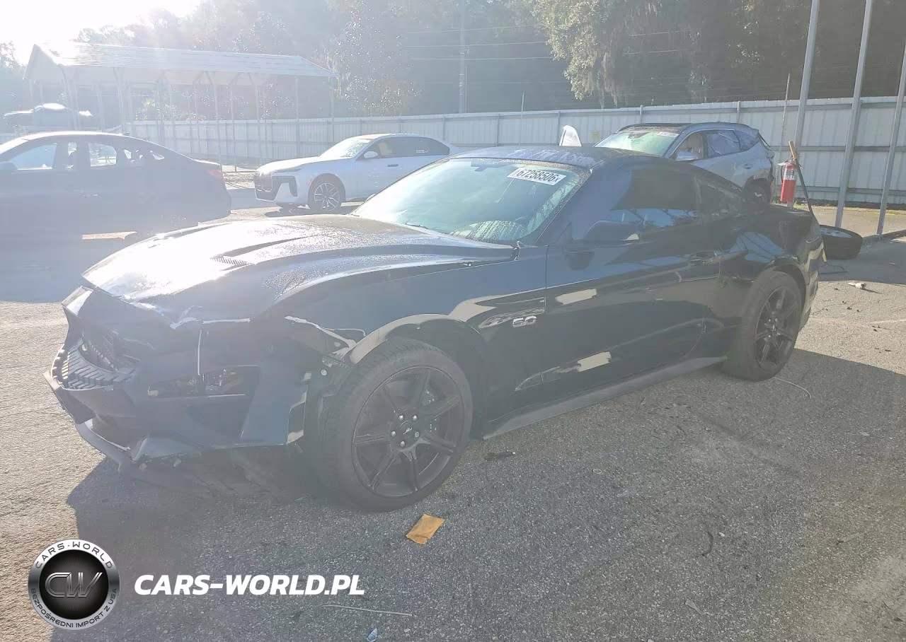 2019 Ford Mustang Gt VIN:1FA6P8CF1K5177298 - 1