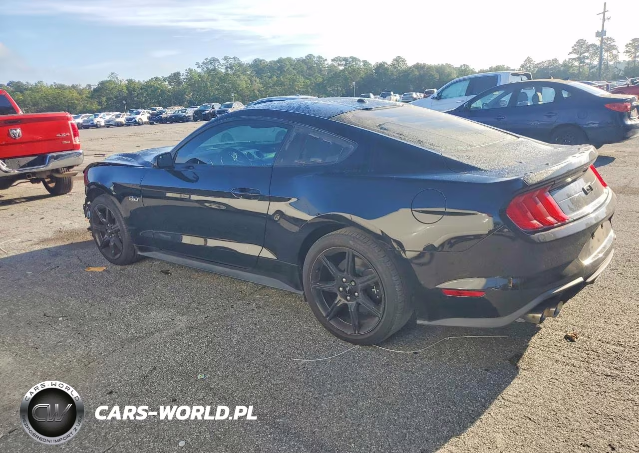 2019 Ford Mustang Gt VIN:1FA6P8CF1K5177298 - 2