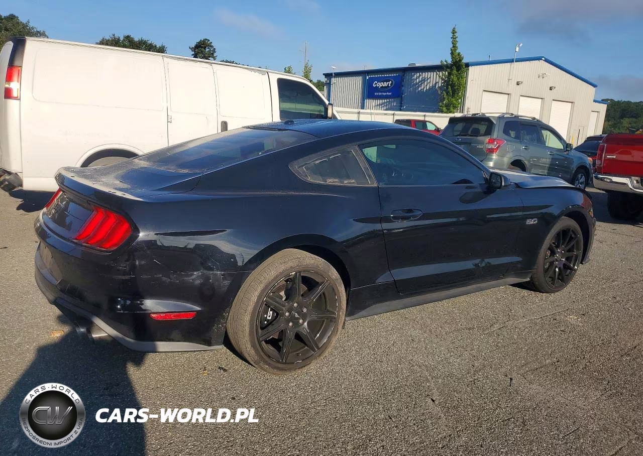 2019 Ford Mustang Gt VIN:1FA6P8CF1K5177298 - 3