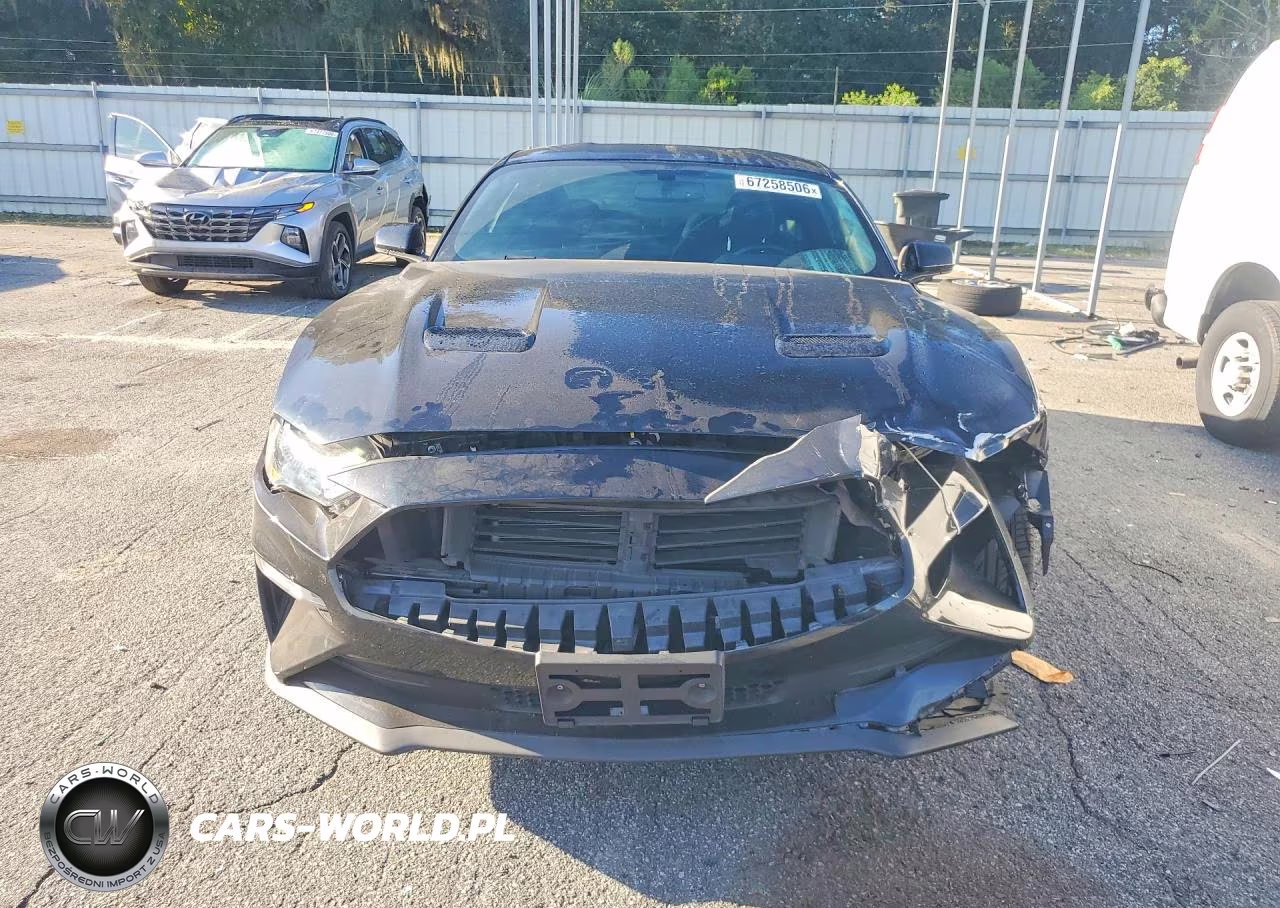 2019 Ford Mustang Gt VIN:1FA6P8CF1K5177298 - 5