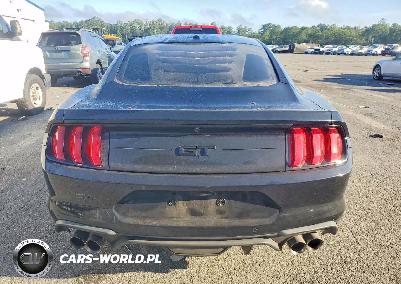 2019 Ford Mustang Gt VIN:1FA6P8CF1K5177298 - 6