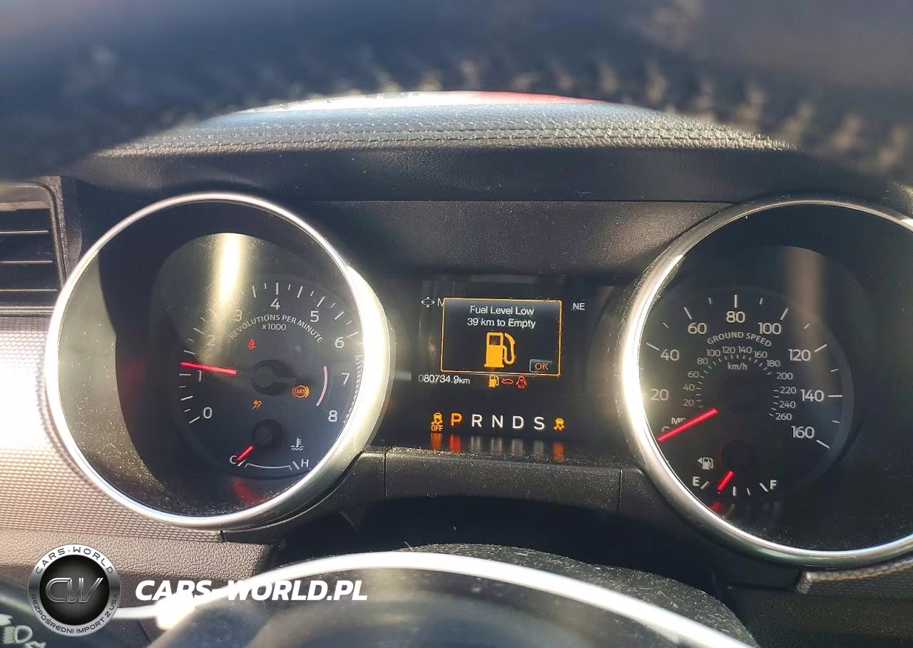 2019 Ford Mustang Gt VIN:1FA6P8CF1K5177298 - 9