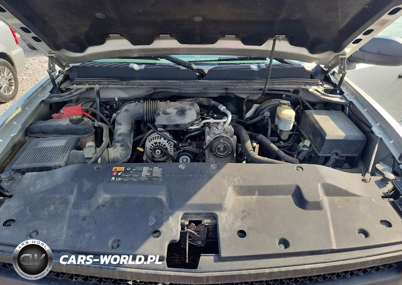 2011 Chevrolet Silverado C1500 VIN:1GCNCPEX0BZ349038 - 11