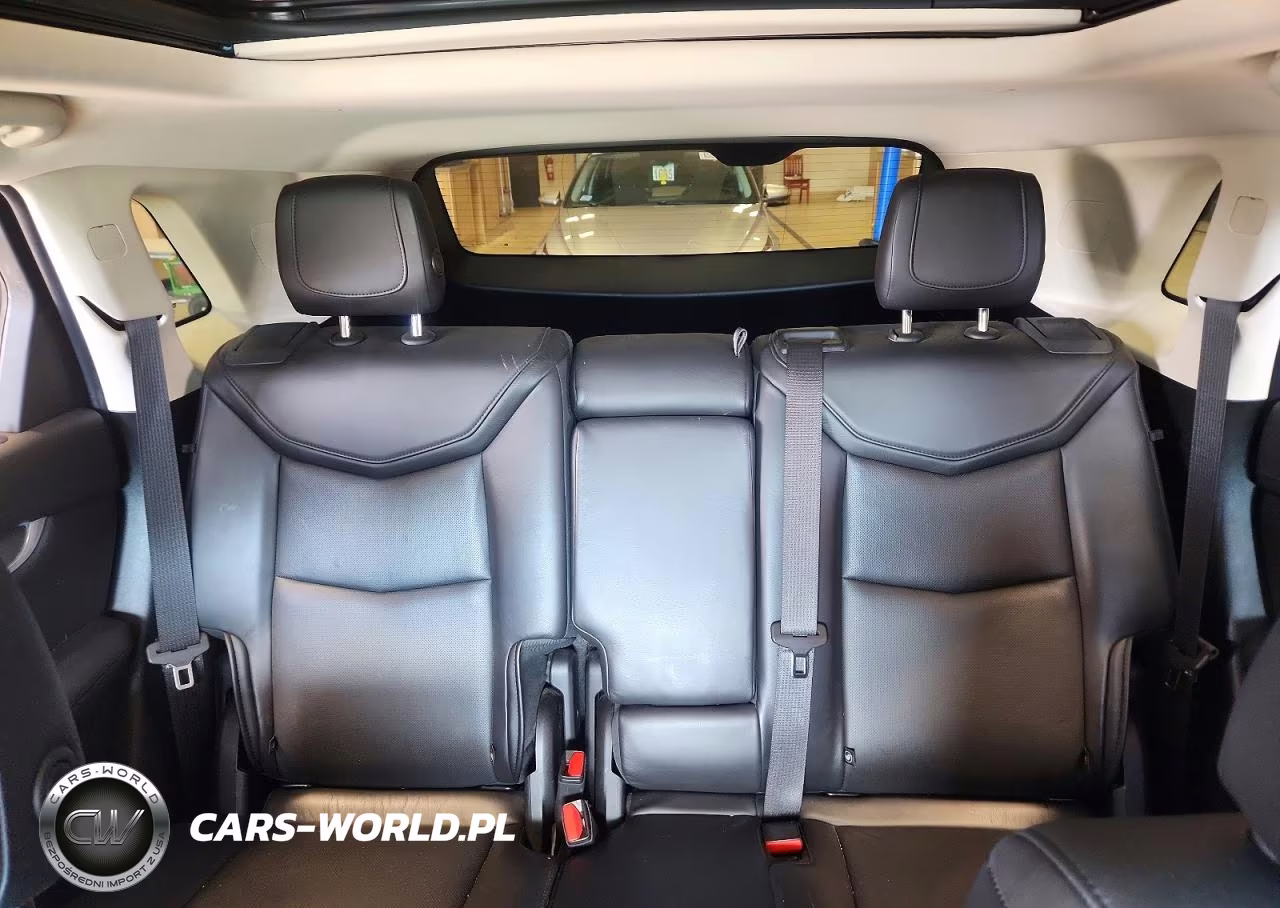 2019 Cadillac Xt5 Luxury VIN:1GYKNDRS1KZ184900 - 10