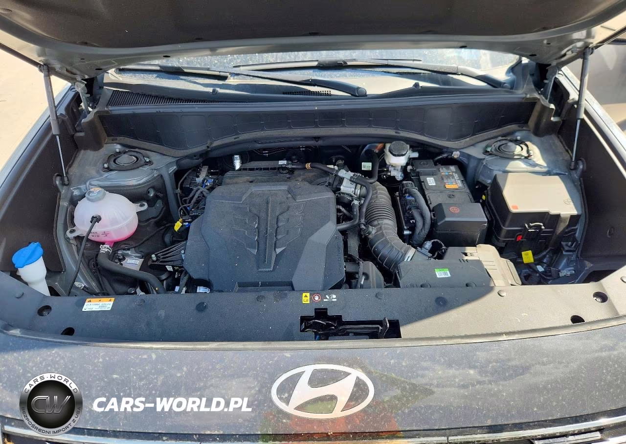 2026 Hyundai Palisade Calligraphy VIN:KM8RMES24TU084663 - 12