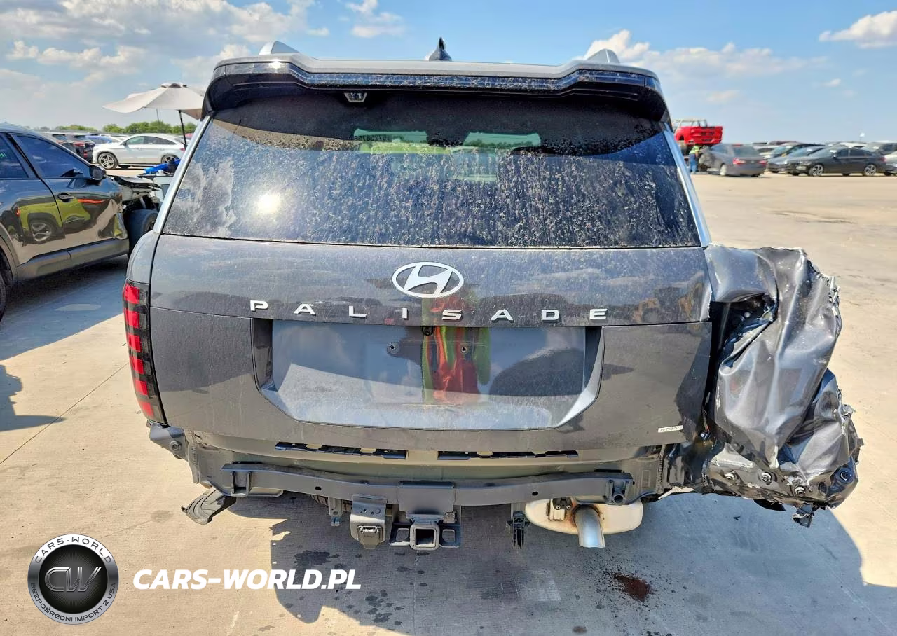 2026 Hyundai Palisade Calligraphy VIN:KM8RMES24TU084663 - 6