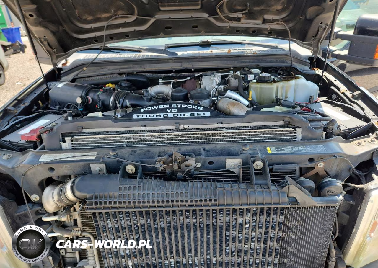 2009 Ford F250 Super Duty VIN:1FTSW21R49EA81648 - 11