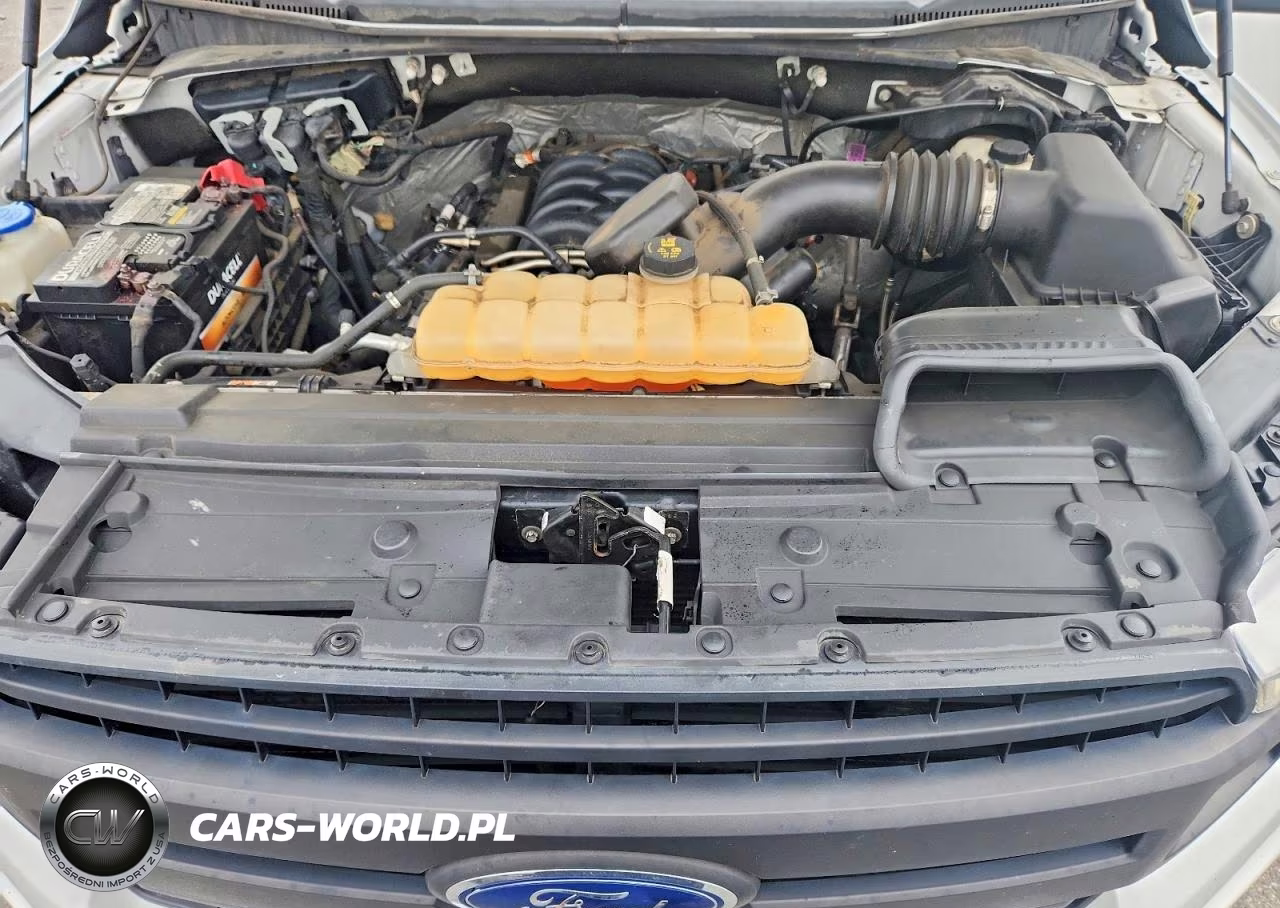 2018 Ford F150 Supercrew VIN:1FTEW1E53JFB18959 - 11