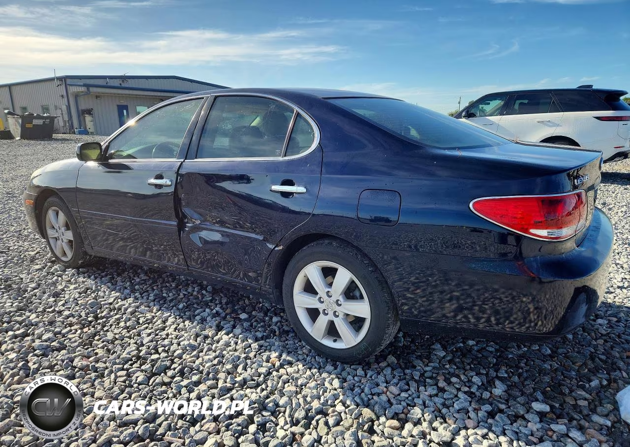 2005 Lexus Es 330 VIN:JTHBA30G855139225 - 2