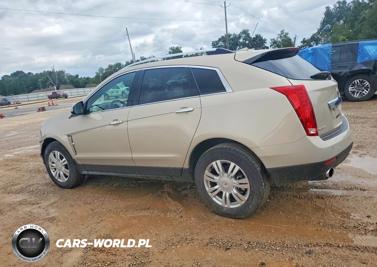 2011 Cadillac Srx Luxury Collection VIN:3GYFNAEY3BS554493 - 2