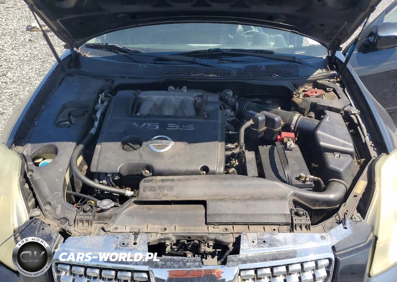 2006 Nissan Maxima 3.5 Se VIN:1N4BA41E36C849088 - 11