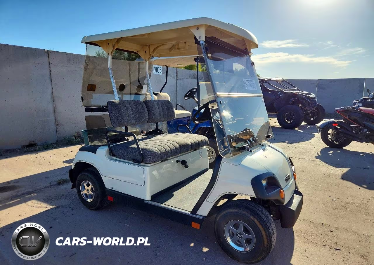 2000 Mahi Golf Cart 2 Seats