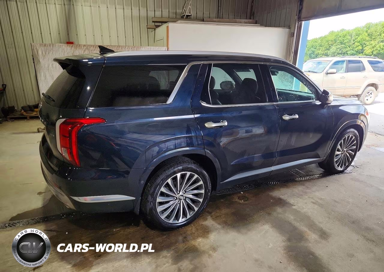 2023 Hyundai Palisade Calligraphy VIN:KM8R7DGEXPU567794 - 3