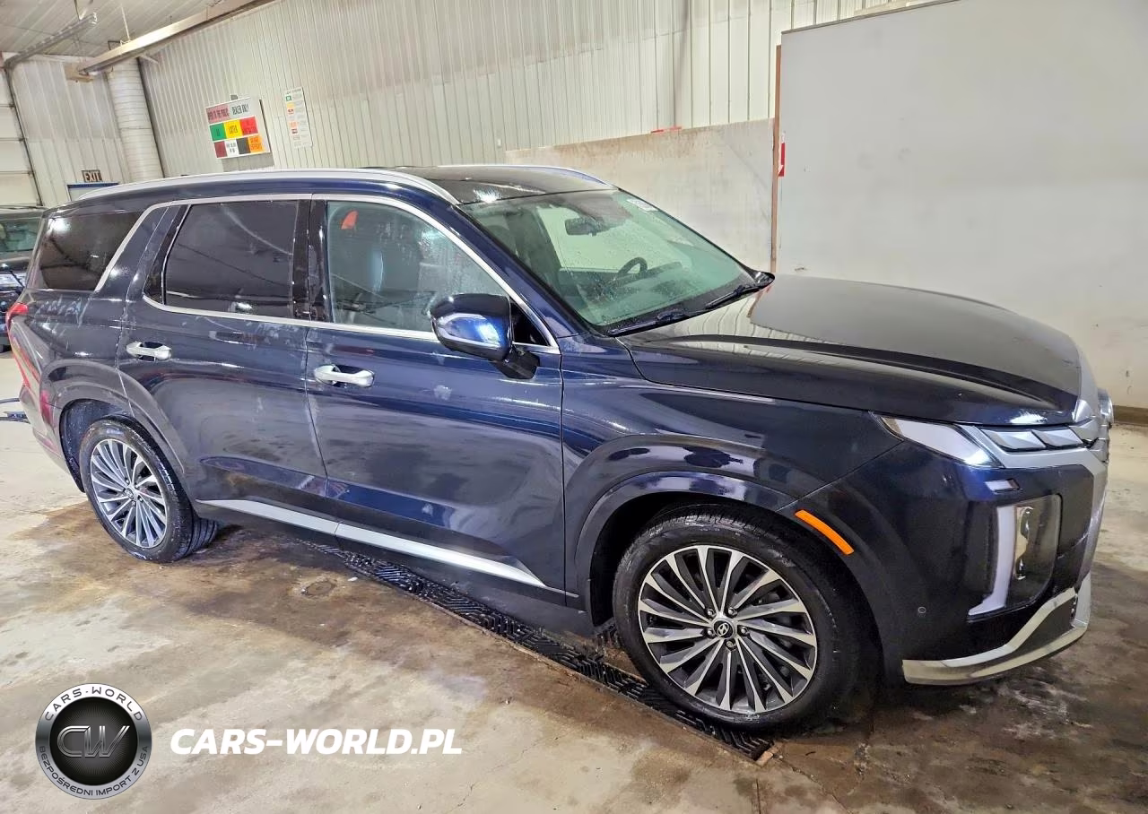 2023 Hyundai Palisade Calligraphy VIN:KM8R7DGEXPU567794 - 4