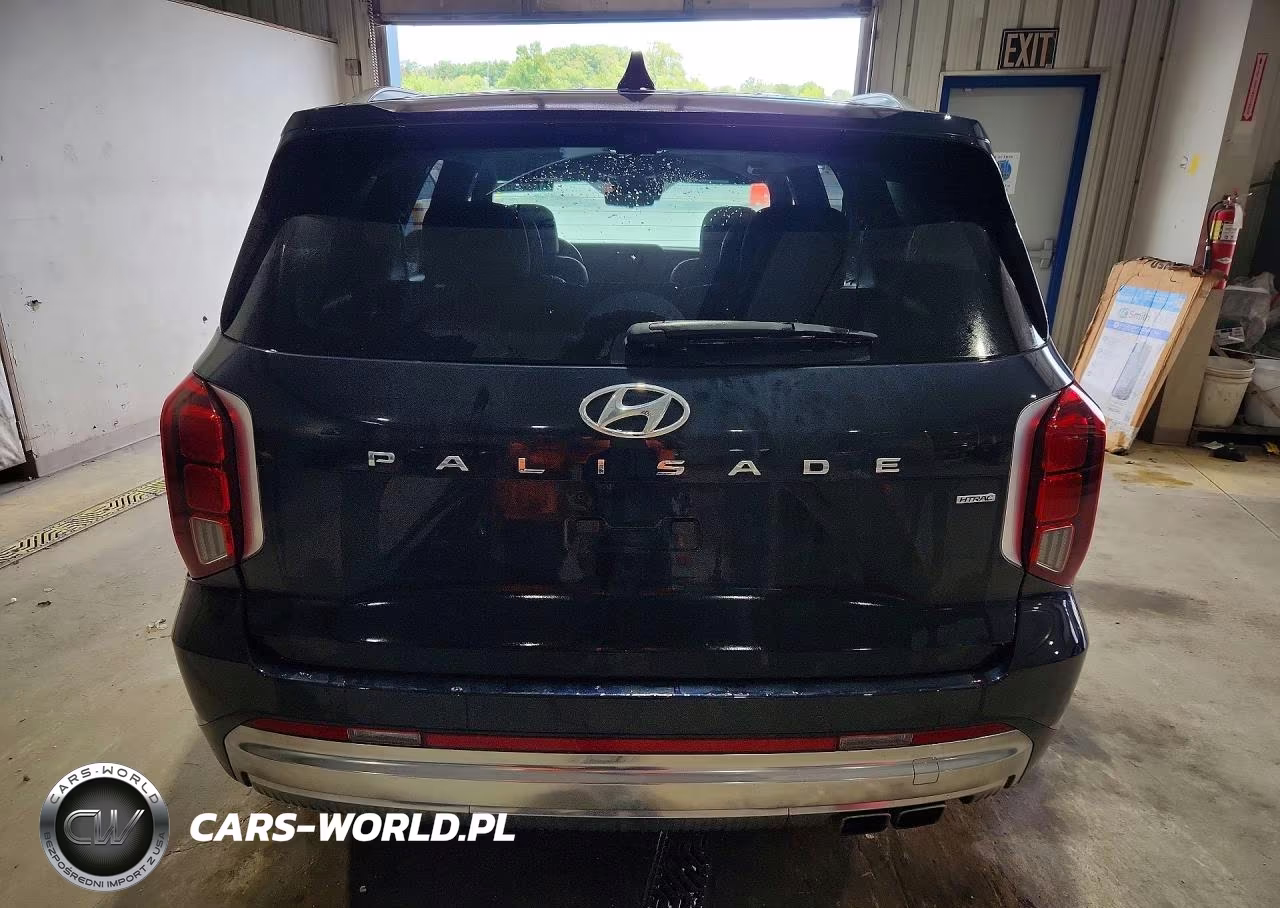 2023 Hyundai Palisade Calligraphy VIN:KM8R7DGEXPU567794 - 6