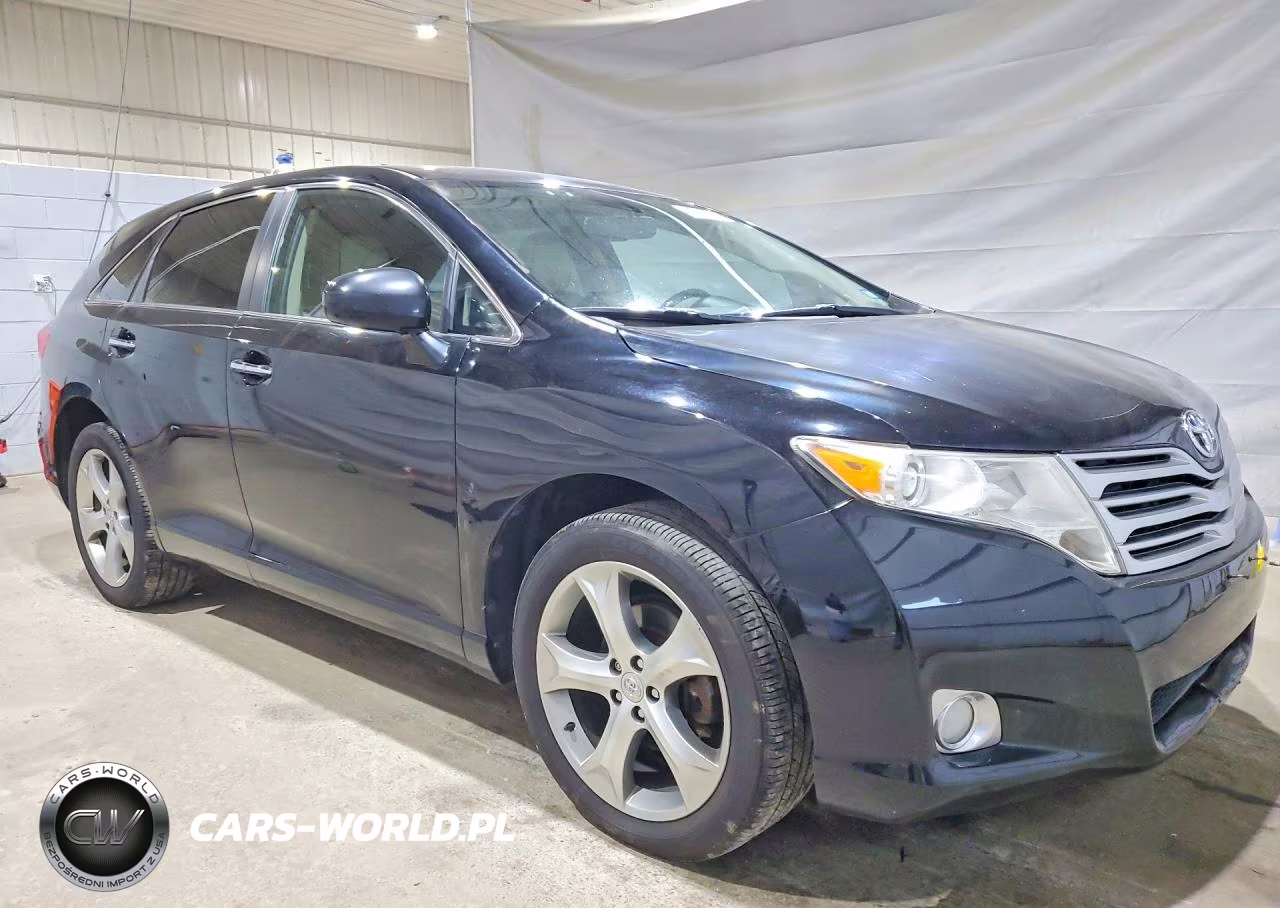 2009 Toyota Venza Awd V6 VIN:4T3BK11AX9U015422 - 4