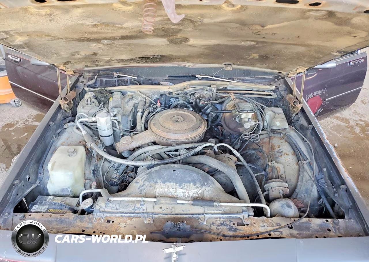 1988 Chevrolet Caprice VIN:1G1BL51H6JA101209 - 11