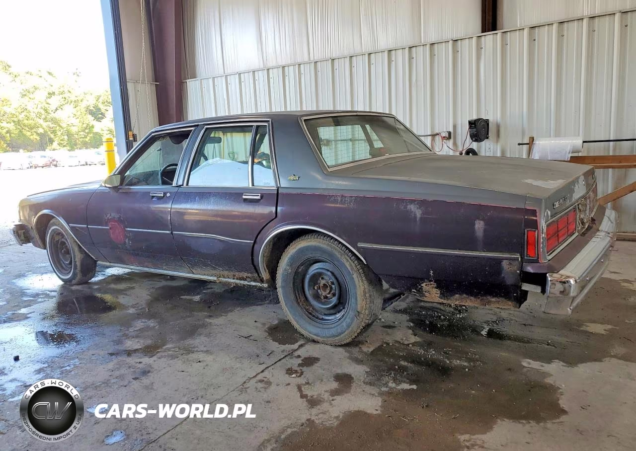 1988 Chevrolet Caprice VIN:1G1BL51H6JA101209 - 2
