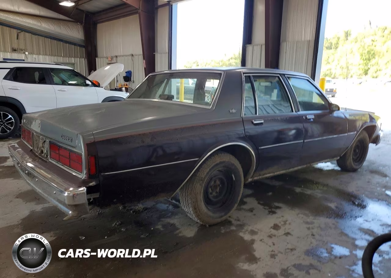 1988 Chevrolet Caprice VIN:1G1BL51H6JA101209 - 3