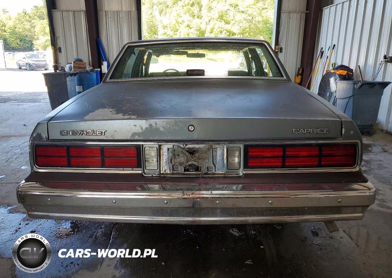 1988 Chevrolet Caprice VIN:1G1BL51H6JA101209 - 6