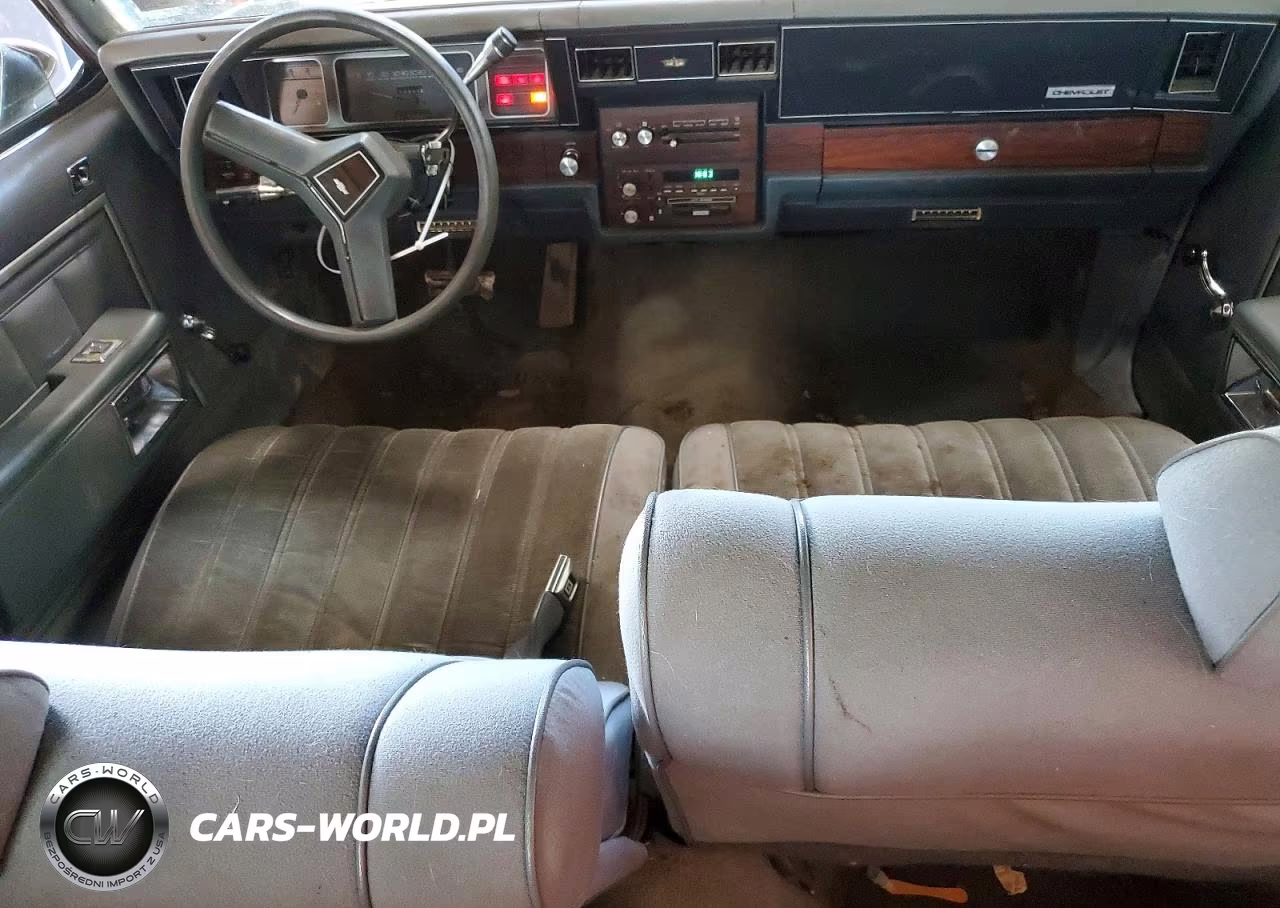 1988 Chevrolet Caprice VIN:1G1BL51H6JA101209 - 8