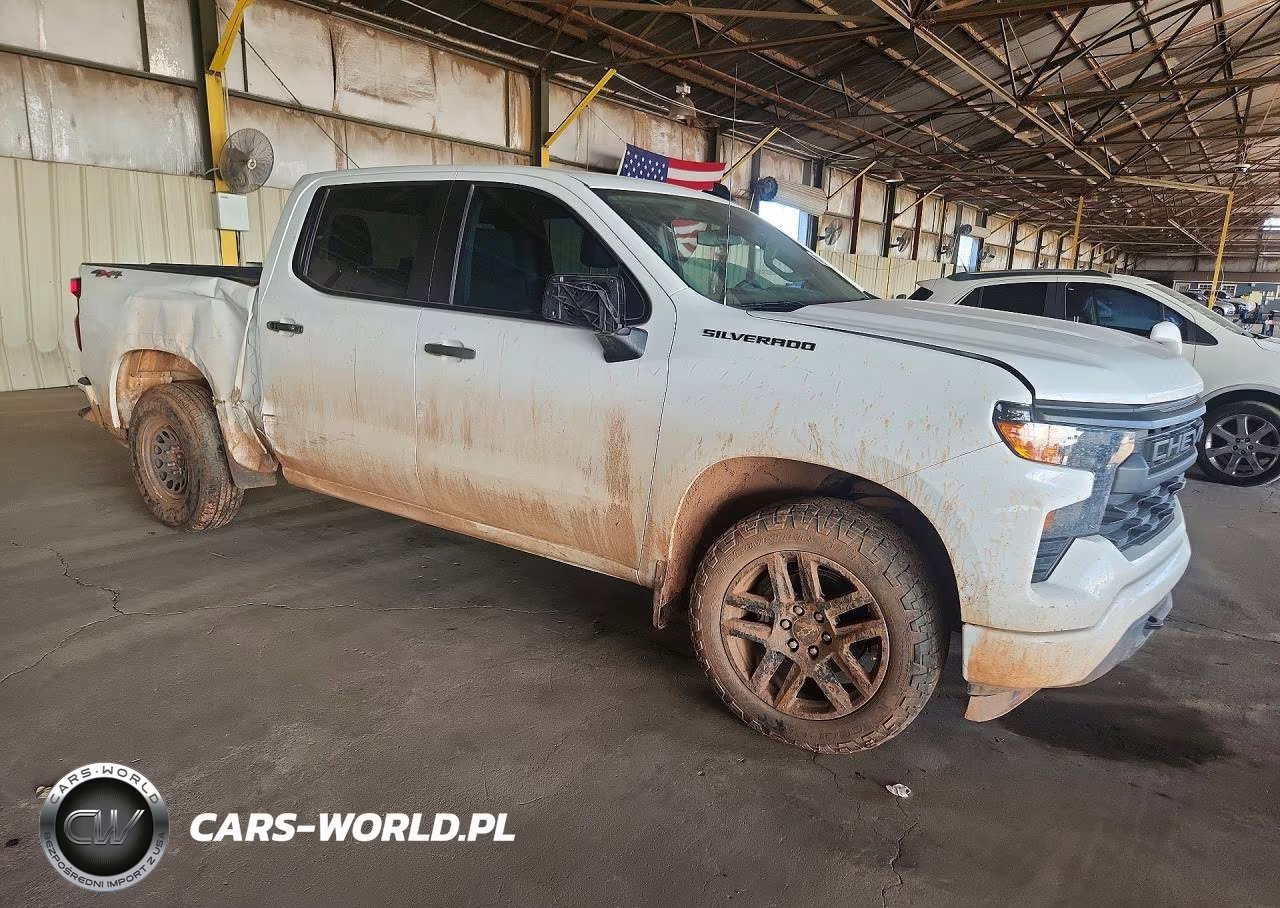 2023 Chevrolet Silverado K1500 Custom VIN:3GCPDBEK0PG200181 - 4