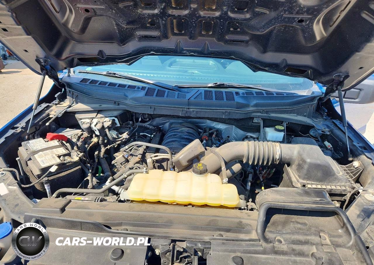 2021 Ford F150 VIN:1FTFW1E56MFB09696 - 11