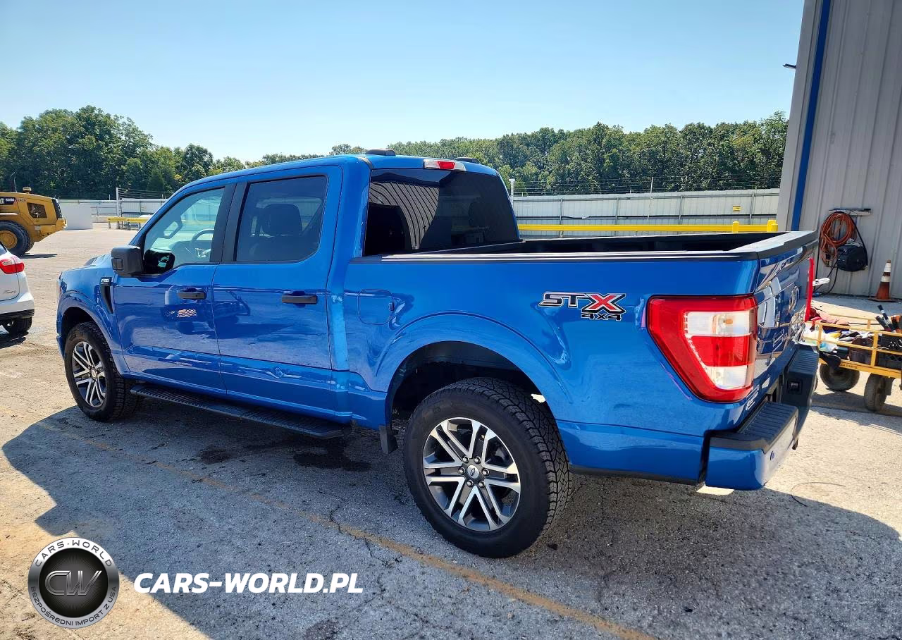 2021 Ford F150 VIN:1FTFW1E56MFB09696 - 2