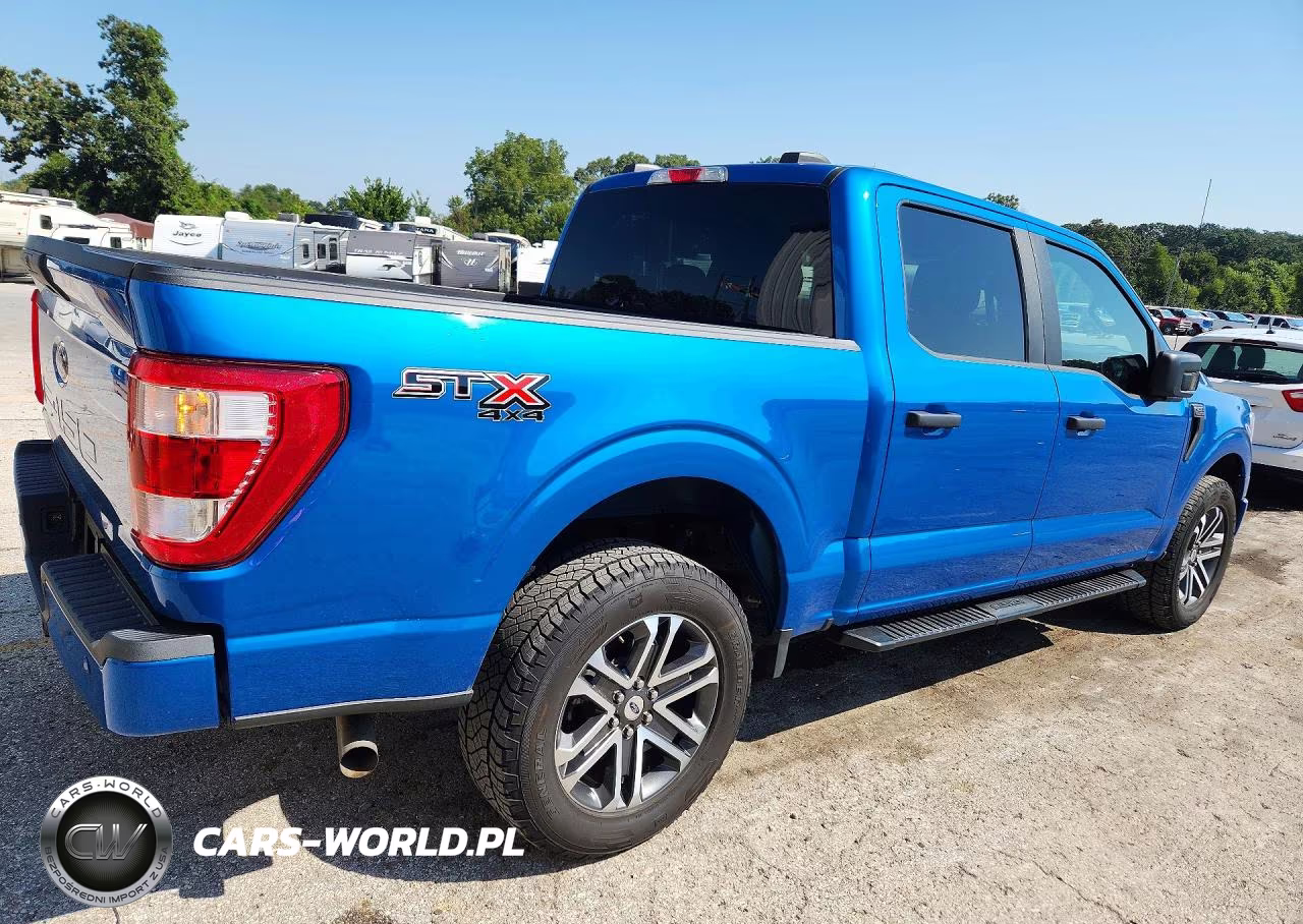 2021 Ford F150 VIN:1FTFW1E56MFB09696 - 3