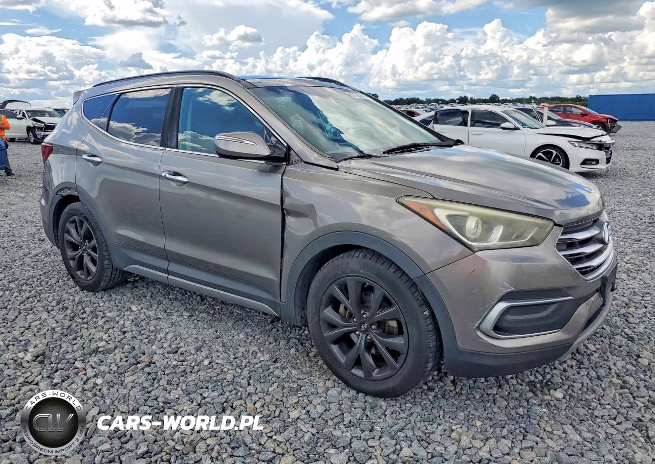 2017 Hyundai Santa Fe Sport 2.0T Ultimate VIN:5XYZW4LA3HG384606 - 4