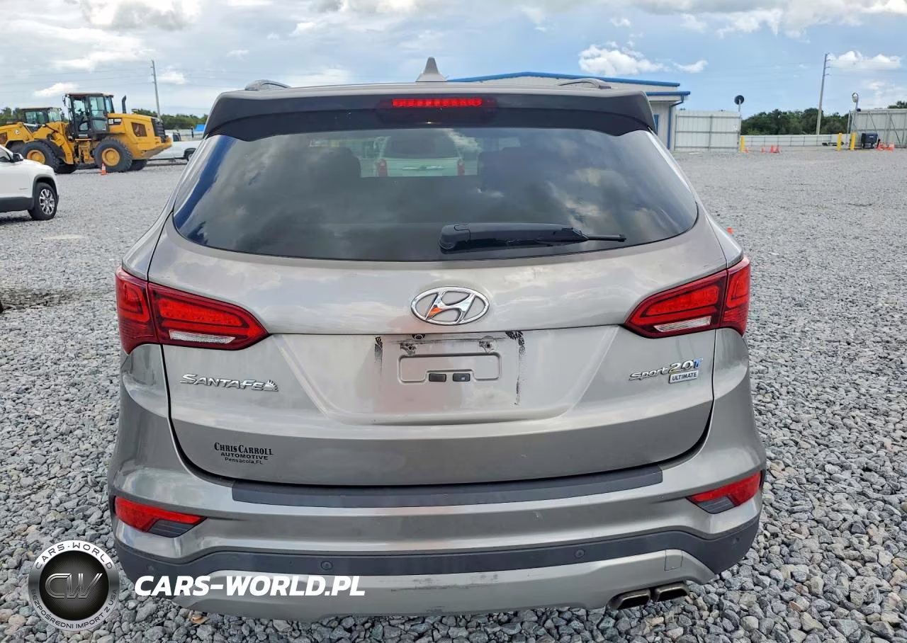 2017 Hyundai Santa Fe Sport 2.0T Ultimate VIN:5XYZW4LA3HG384606 - 6