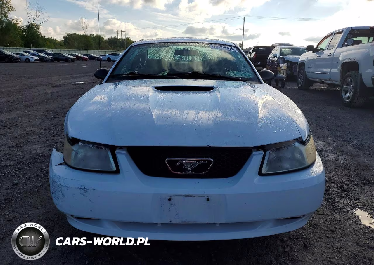 2000 Ford Mustang VIN:1FAFP4049YF137579 - 5