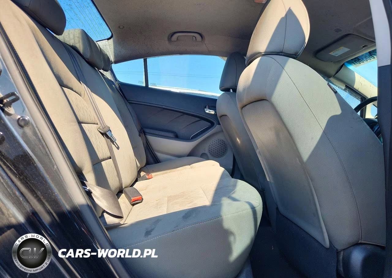 2016 Kia Forte Lx VIN:KNAFK4A64G5514880 - 10