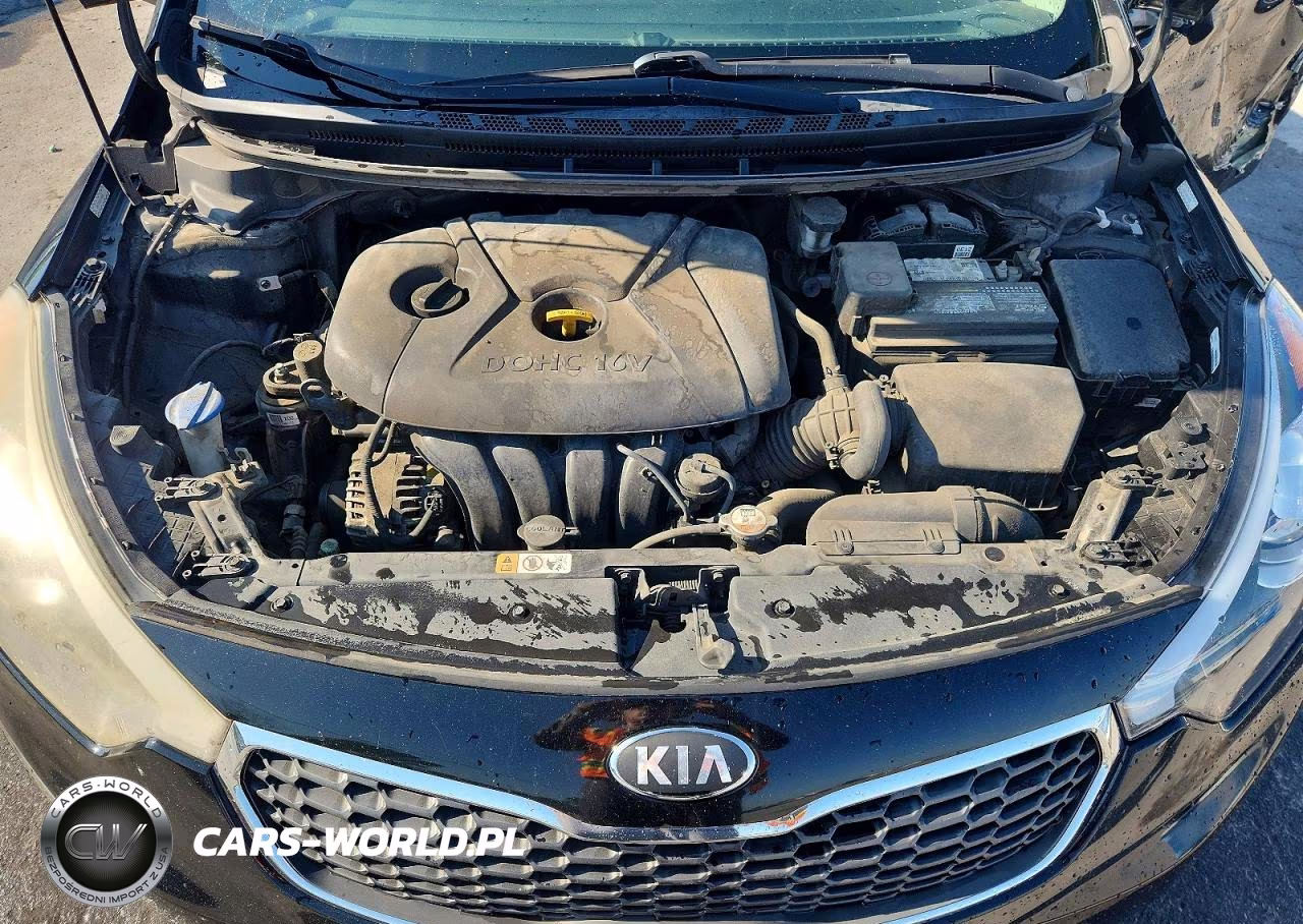 2016 Kia Forte Lx VIN:KNAFK4A64G5514880 - 11