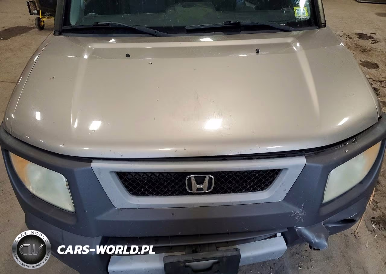 2003 Honda Element Ex VIN:5J6YH28683L053168 - 12