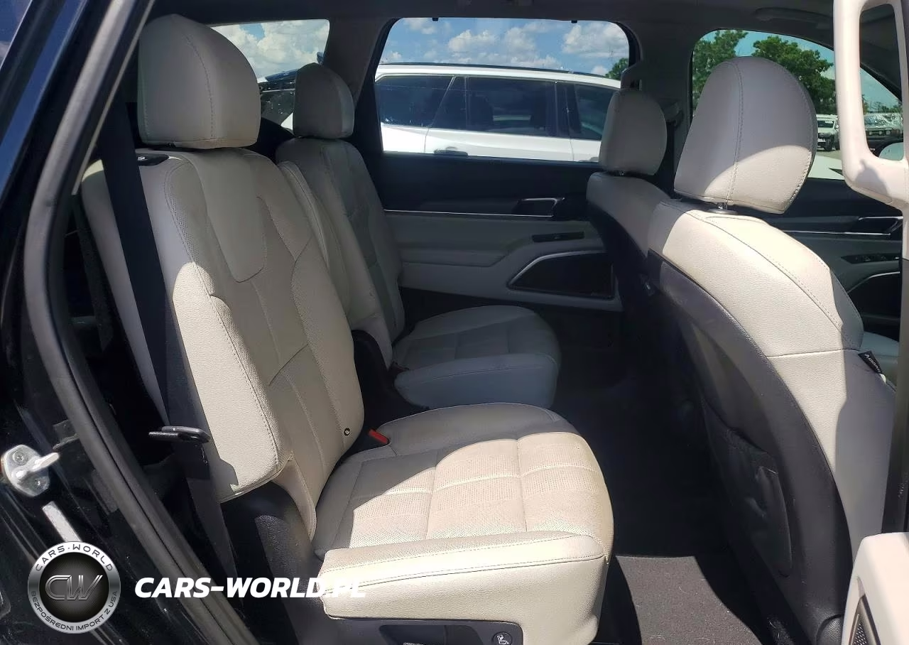 2021 Kia Telluride Sx VIN:5XYP54HC7MG131741 - 11