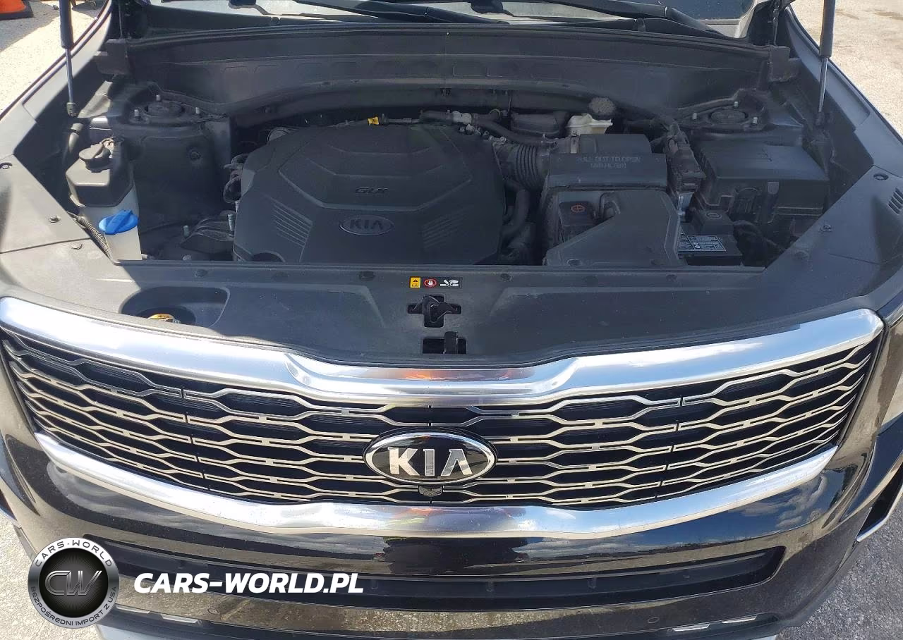 2021 Kia Telluride Sx VIN:5XYP54HC7MG131741 - 12