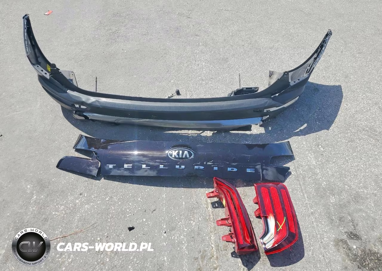 2021 Kia Telluride Sx VIN:5XYP54HC7MG131741 - 13