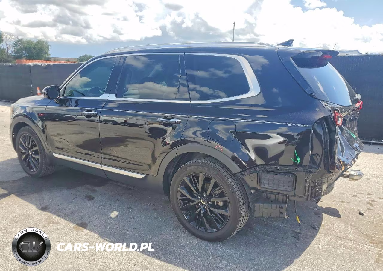 2021 Kia Telluride Sx VIN:5XYP54HC7MG131741 - 2