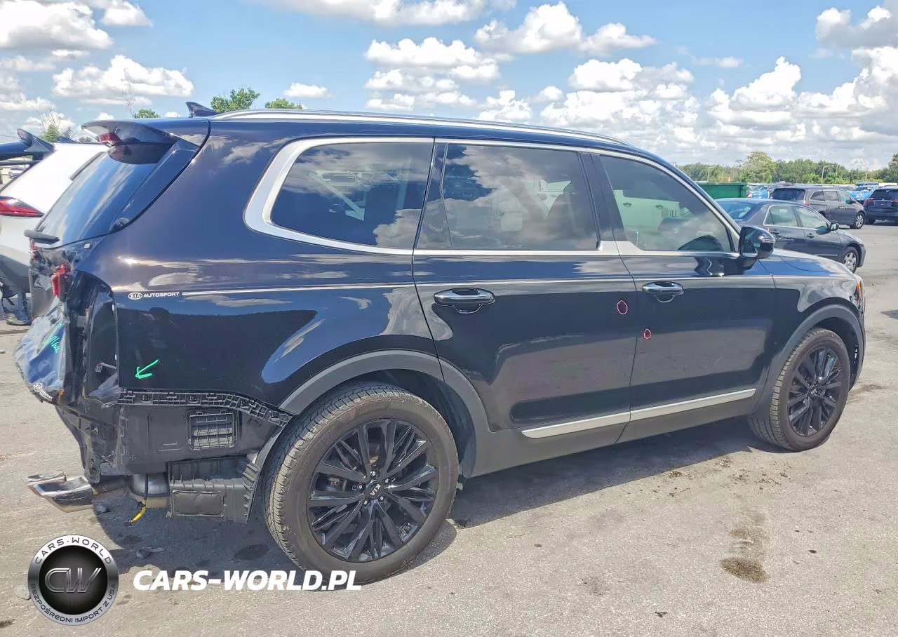 2021 Kia Telluride Sx VIN:5XYP54HC7MG131741 - 3