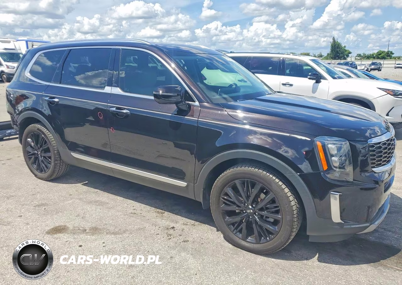 2021 Kia Telluride Sx VIN:5XYP54HC7MG131741 - 4