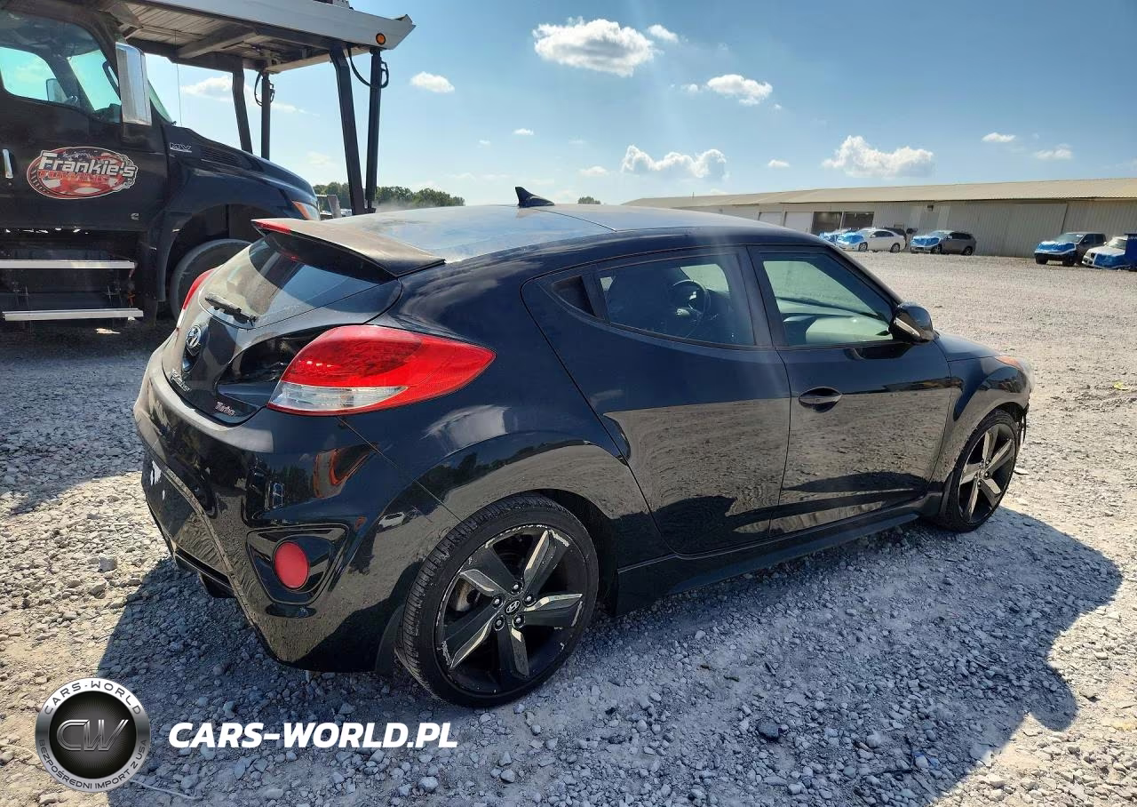 2013 Hyundai Veloster Turbo VIN:KMHTC6AE6DU163974 - 3