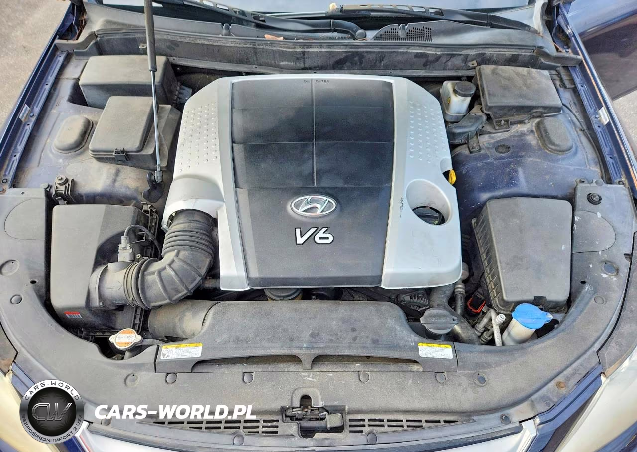 2010 Hyundai Genesis 3.8L VIN:KMHGC4DE8AU080060 - 11