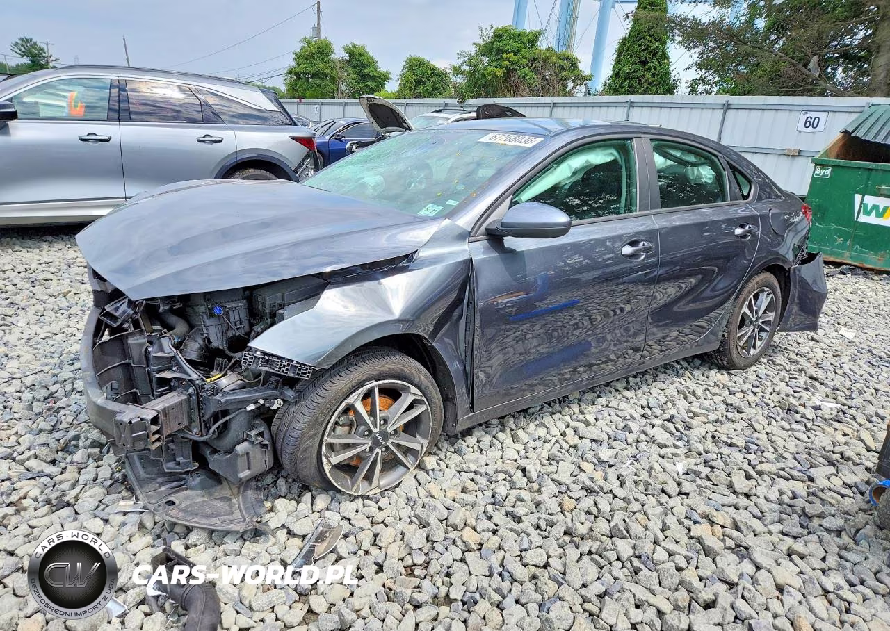 2022 Kia Forte Lxs VIN:3KPF24AD4NE500206 - 1