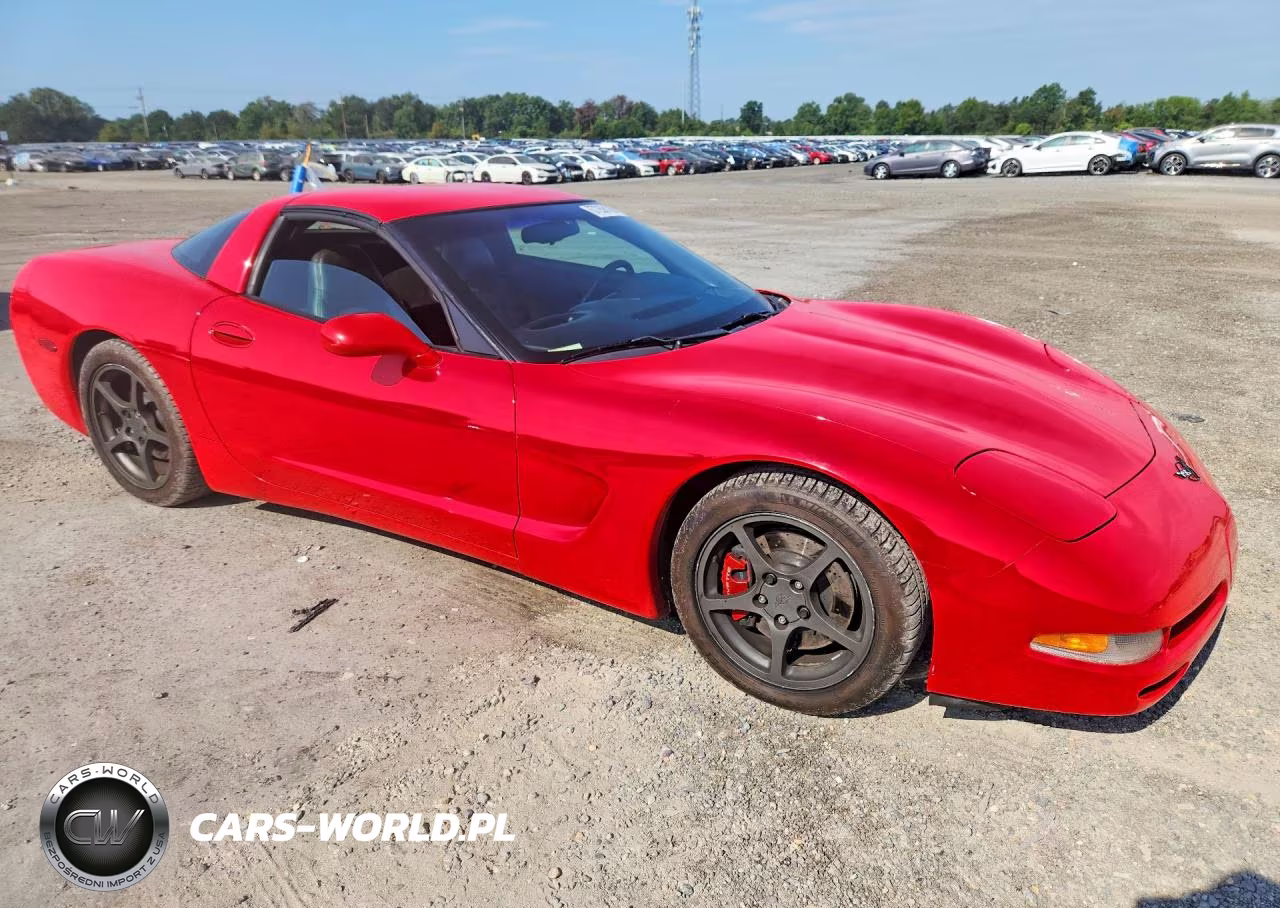 2000 Chev Corvette VIN:1G1YY22G3Y5104880 - 4