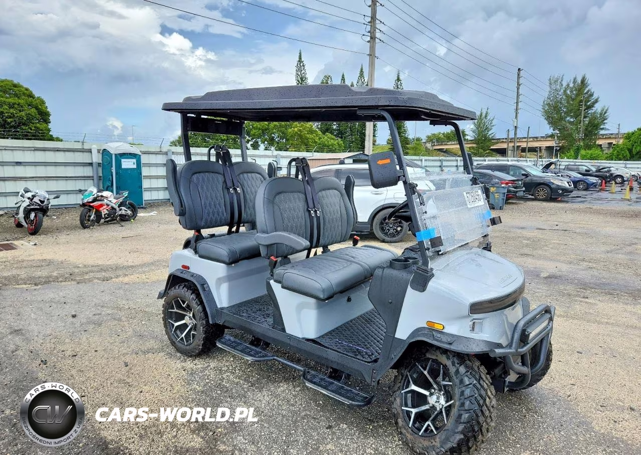 2025 Denago Rover Xl Golf Cart – zdjęcie 1 z 10